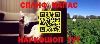 не бодяженный Камышлов